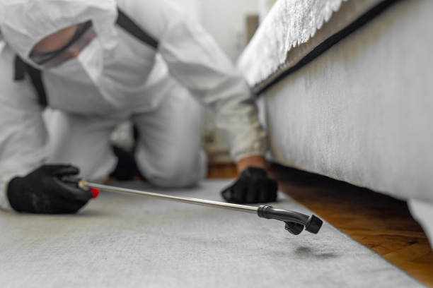 Professional Termite Control technician working in Milton, WA