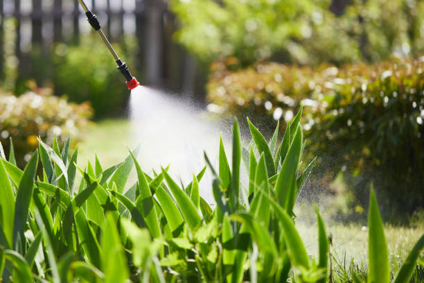 24/7 Emergency Termite Control experts in Milton, WA
