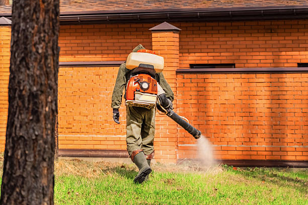 Top rated local Termite Control specialists in Milton, WA